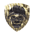 Шеврон Camotec Череп в касці (7*8) Піксель (9035)