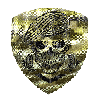 Шеврон Camotec Череп в береті (7*8) Піксель (9016)