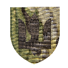 Шеврон Camotec ЗСУ Сухопутні війська (7*8) Multicam (9060)