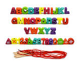 Шнурівка дерев'яна 74425 тварини букви цифри транспорт намистини, фото 2