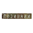 Патч Camotec "Позивний" (2.5*13) Multicam/Люмін (8673)