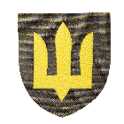Шеврон Camotec ЗСУ Сухопутні війська (7*8) Олива/Жовтий (9059)