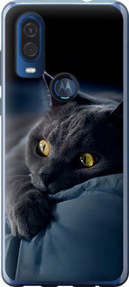 Чохол на Motorola One Vision Димчастий кіт "825u-1782-851"