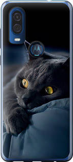 Чохол на Motorola One Vision Димчастий кіт "825u-1782-851", фото 1