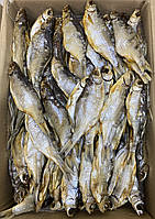 Вобла 14-16 см без икры.Вобла вяленая.Вяленая рыба. Вобла 500 грамм.