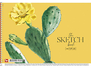 Альбом для малювання Школярик спіраль 30л 120г/м