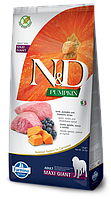 Сухий корм Farmina (Фарміна) N & D Grain Free Pumpkin Dog Lamb & Blueberry Adult Giant Maxi беззерновий для гігантських порід