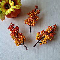 Обліпиха Жовтогаряча осінова ягода