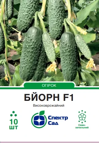Огірок Бйорн F1 самозапильний, 10 шт,  Спектр-Агро