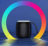 Портативна Bluetooth колонка SH 309 BT 100 Вт з посиленими басами, фото 4