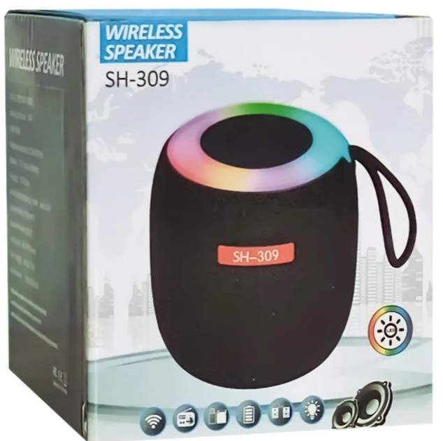 Портативна Bluetooth колонка SH 309 BT 100 Вт з посиленими басами, фото 1