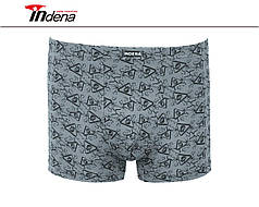 Труси на Хлопчика Боксери Стрейчеві Марка "INDENA" АРТ.21215