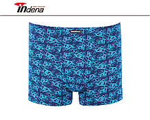 Труси на Хлопчика Боксери Стрейчеві Марка "INDENA" АРТ.21215, фото 4