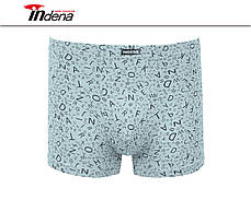 Труси на Хлопчика Боксери Стрейчеві Марка "INDENA" АРТ.21217, фото 2