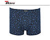 Труси на Хлопчика Боксери Стрейчеві Марка "INDENA" АРТ.21217, фото 6