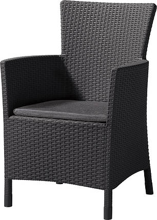 Крісло садове пластикове Keter Iowa DC, фото 1