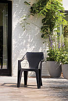 Стілець садовий пластиковий Keter Dante low back, фото 2