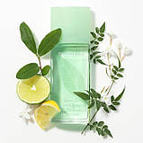 Elizabeth Arden Green Tea парфумована вода, 50 ml, фото 4