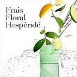 Парфумована вода для жінок Elizabeth Arden Green Tea100 мл Тестер без кришечки, фото 5