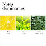 Elizabeth Arden Green Tea парфумована вода, 50 ml, фото 6