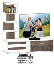 Тумба під телевізор  Міні-3 1600x350 h-1600мм    Алекса-СМ, фото 4