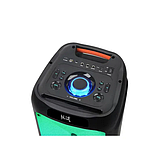 Колонка акумуляторна ZXX-5590 з радіомікрофонами (USB/BT/FM/TWS), фото 3