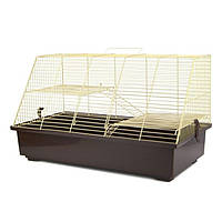 Щурик карта для гризунів фарба ЛОРІ