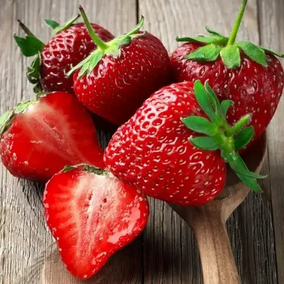 Полуниця "Спокуса" 10шт., фото 1