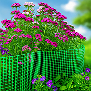 Сітки садові (затінюючі, огіркові), сітки пластикові, бордюри (паркани, москітні).