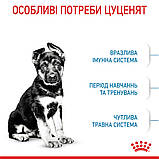 Royal Canin DOG Maxi Puppy для цуценят великих порід (від 2 місяців) 15кг, фото 3