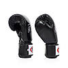 Боксерські рукавиці Fairtex BGV1 Black 12 унцій (бинти в комплекті), фото 7