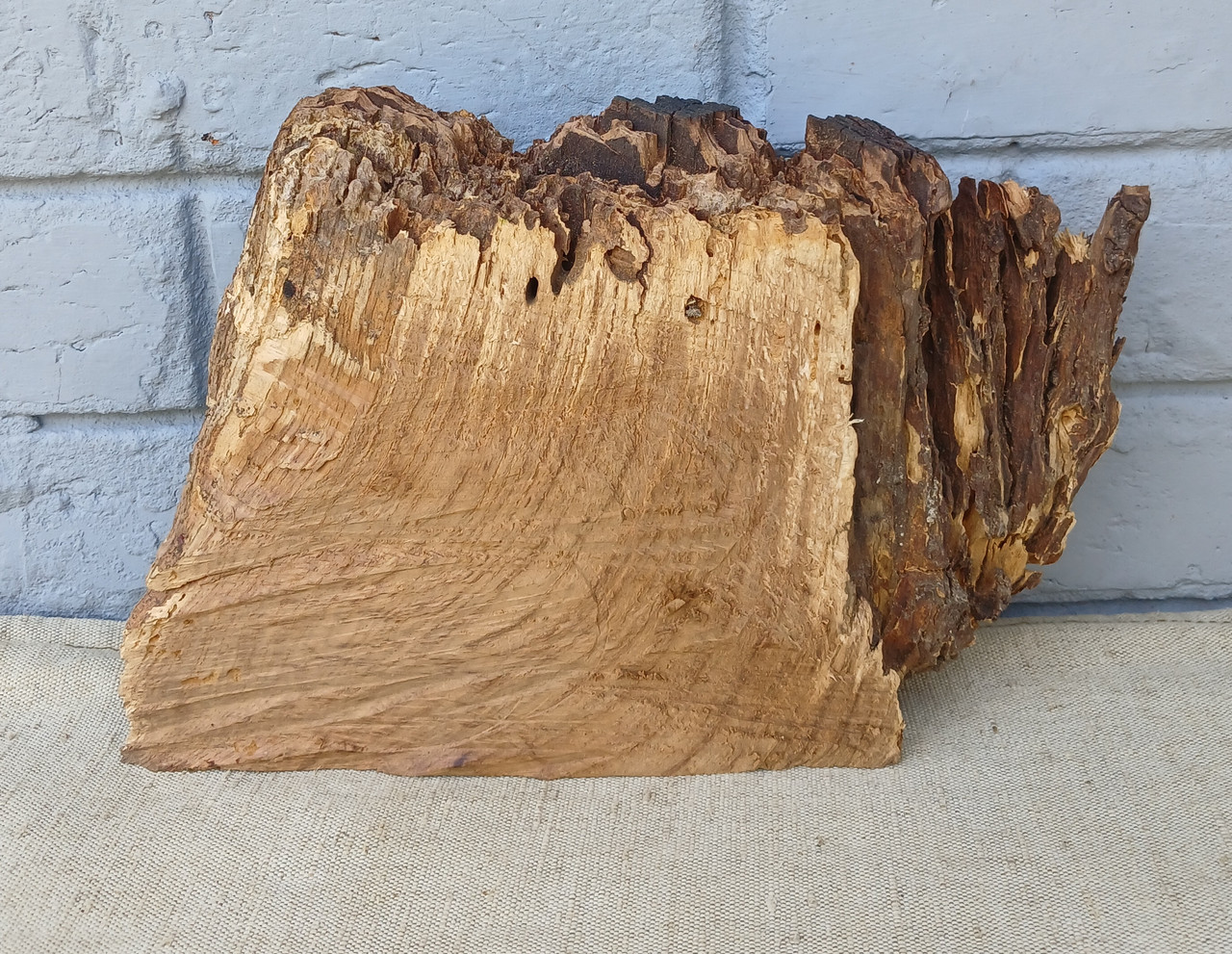 Фрагмент амбарного дубу, для декору будинку, d 200х260мм.