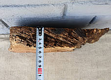 Фрагмент амбарного дубу, для декору будинку, d 200х260мм., фото 2