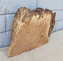 Фрагмент амбарного дубу, для декору будинку, d 200х260мм., фото 3