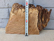 Фрагмент амбарного дубу, для декору будинку, d 200х260мм., фото 5