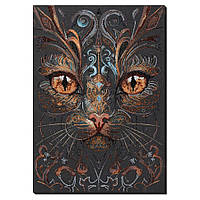 Набір для вишивання бісером "Погляд чаклунки" AB-900 43х30 см