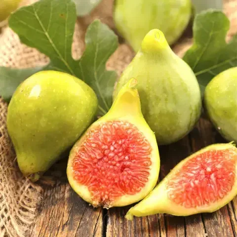 Саджанці інжиру "Медовий" (0,5-0,7 м)