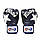 Боксерські рукавиці Fairtex BGV1 Nation Print Blue 10 унцій, фото 5