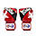 Боксерські рукавиці Fairtex BGV1 Nation Print Red 14 унцій, фото 5