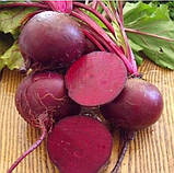 Насіння буряка Детройт Дарк Ред 3 г United Genetics, фото 2