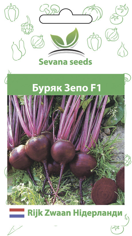 Насіння буряка Зепо F1 200 шт. Rijk Zwaan, фото 1