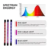 Фітолампа Led Plant Grow Leight USB на 6 ламп ( гнучка ) з таймером, фото 2