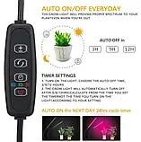 Фітолампа Led Plant Grow Leight USB на 6 ламп ( гнучка ) з таймером, фото 7
