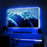 Світлодіодна стрічка Tayire 2 м USB 5 В, синя, 960 світлодіодів, димована COB-стрічка, CRI90+ 4 мм, світлодіодне підсвічування, фото 6