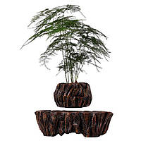 Магнітний левітаційний горщик для рослин HCNT Magnetic Levitating Pot M5B-PW Brown