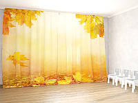 Оформлення фотозони на осінь у дитячому садку