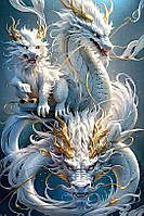 Діамантова вишивка. Картина на підрамнику "Небесні дракони", 40х60см, круглі стрази