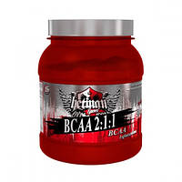 Hetman Sport BCAA 2: 1: 1 500г