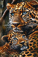 Діамантова вишивка. Картина на підрамнику "Сім"я леопардів", 40х60см, круглі стразы