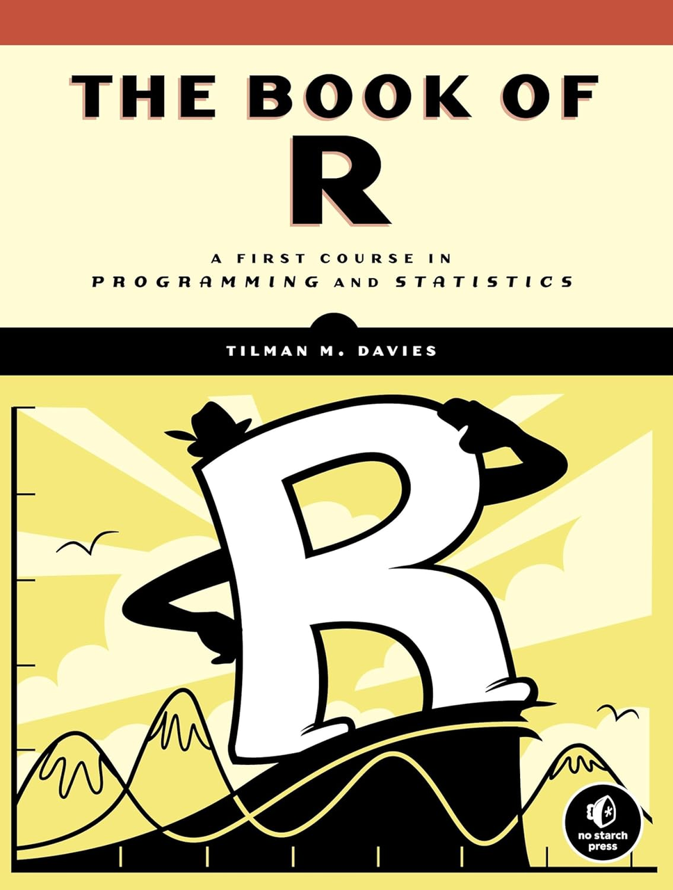 Book of R : A First Course in Programming and Statistics, 1st Edition. Tilman M. Davies, фото 1